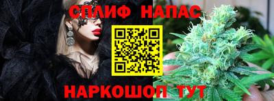 шишки Кингисепп