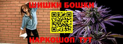 шишки Кингисепп