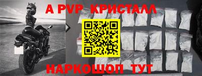 шишки Кингисепп