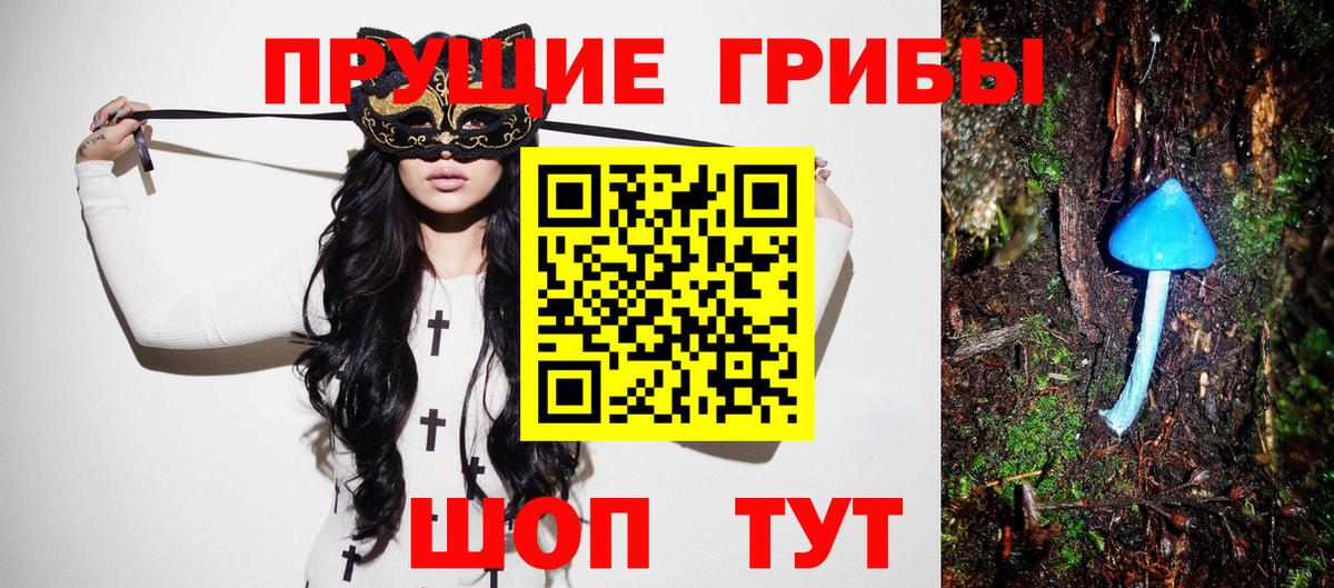 закладки  Вход с VPN  Галлюциногенные грибы GOLDEN TEACHER  Верхняя Пышма  Галлюциногенные грибы MAGIC MUSHROOMS 