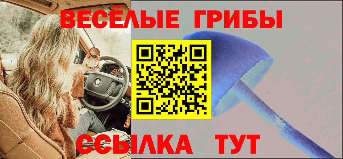 Псилоцибиновые грибы ЛСД Верхняя Пышма